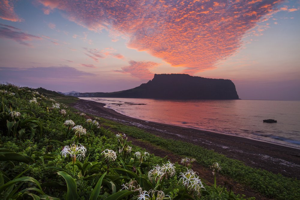 17 Best Things to Do in Jeju: Snoopy Garden, Go Kart Race Park, Green ...