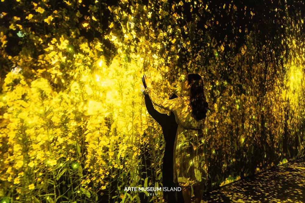 jeju arte museum, jeju things to do