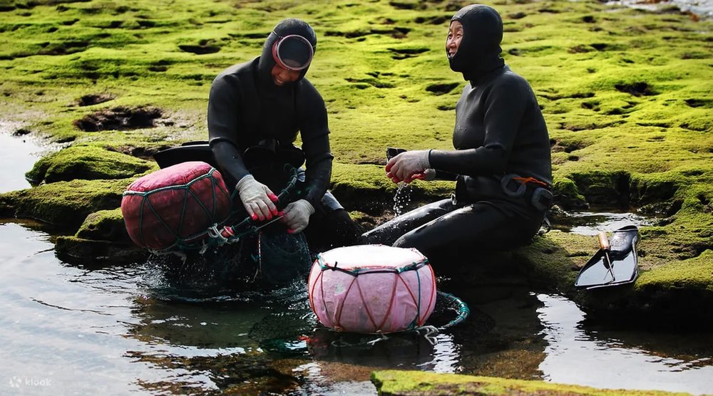 jeju haenyeo