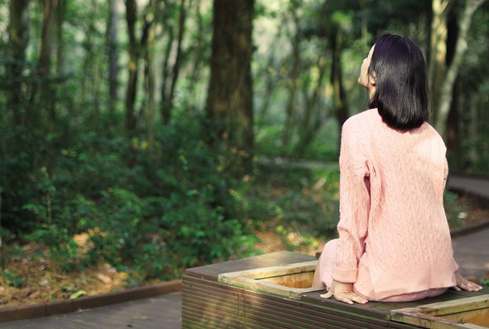 jeju things to do forest of healing