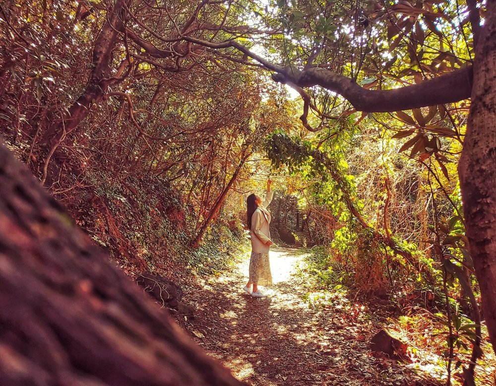 Lady in white touching the leaves above her