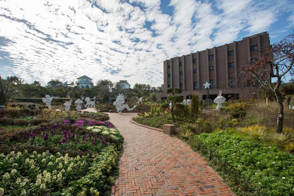 Walkway in the middle of a garden in Jeju