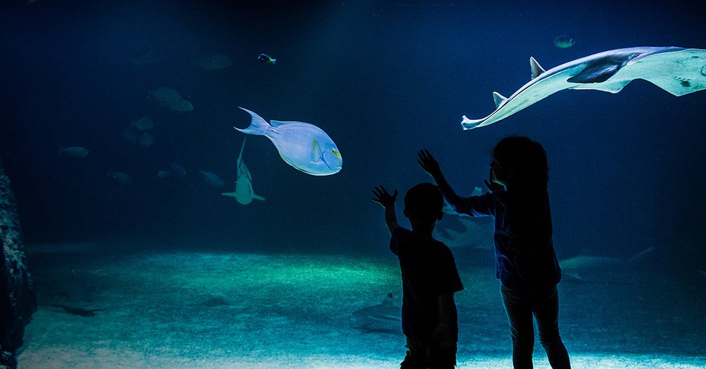 Trung tâm khoa học Universeum