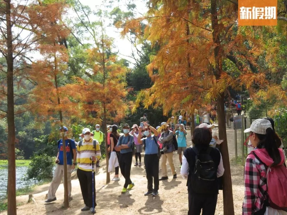 流水響無論係假期或平日都同樣多人。