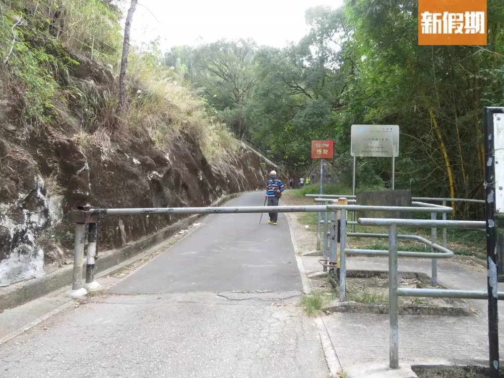 流水響行山路線！落羽松＋天空之鏡景色