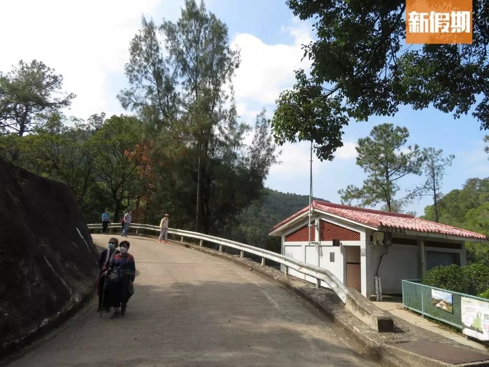 流水響行山路線！落羽松＋天空之鏡景色