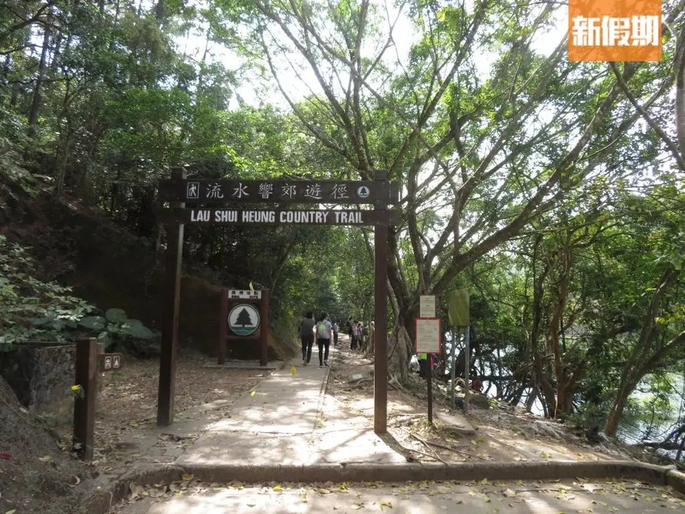 流水響行山路線！落羽松＋天空之鏡景色