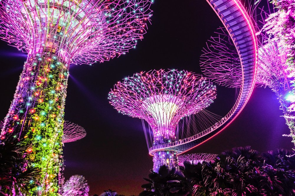 Supertree Grove