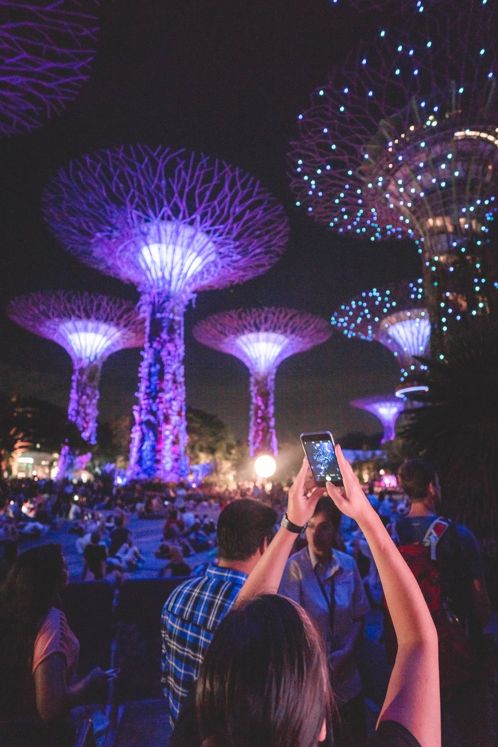 Supertree Grove