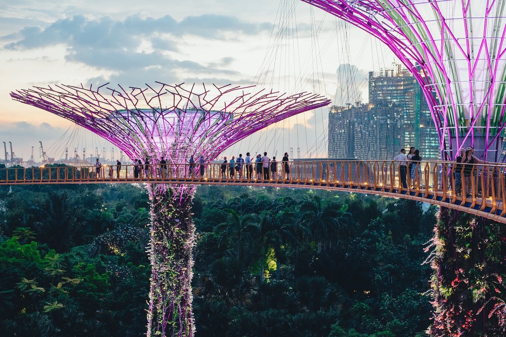 OBDC Skyway
