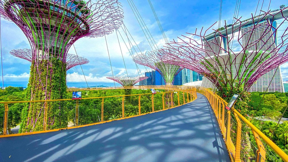 OBDC Skyway