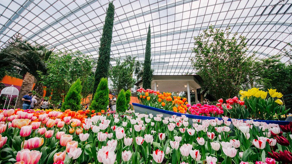 Flower Dome อยู่ในโซนกระจกทั้งหมด ข้างในมีดอกไม้นานาพรรณ