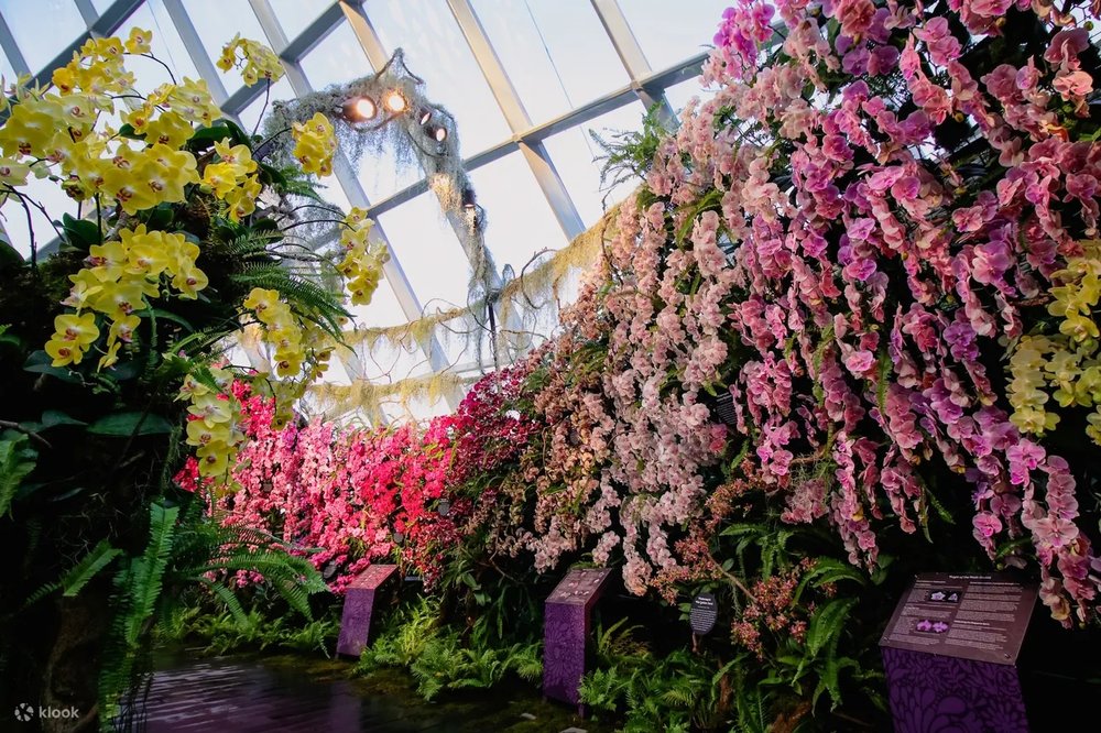 Flower Dome
