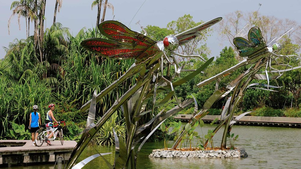 Dragonfly & Kingfisher Lakes 