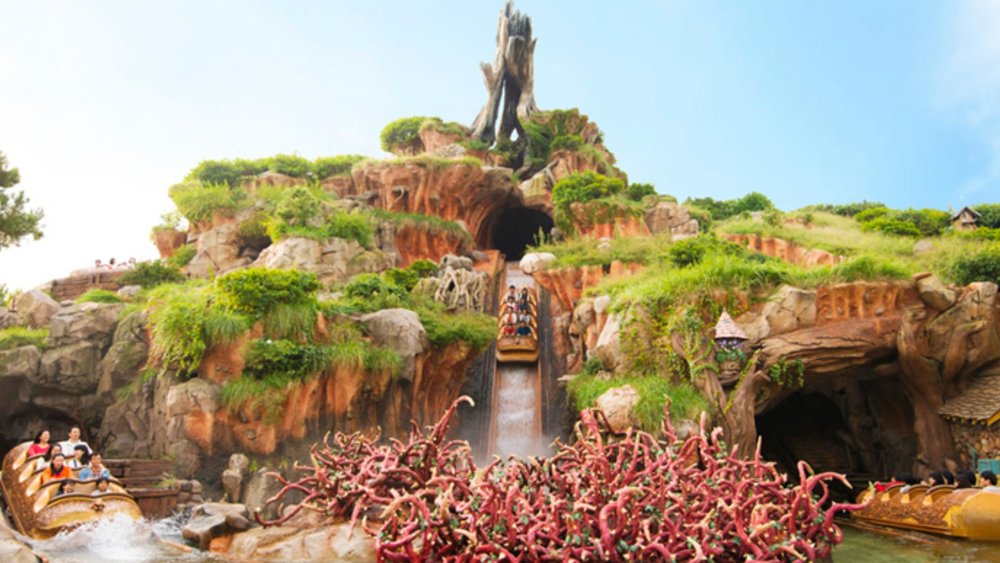 Get wet and wild and go on a ride on Splash Mountain!
