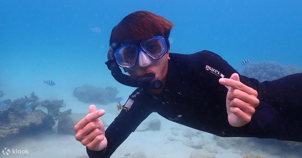 Lặn Biển Ngắm San Hô Tại Gành Nhảy