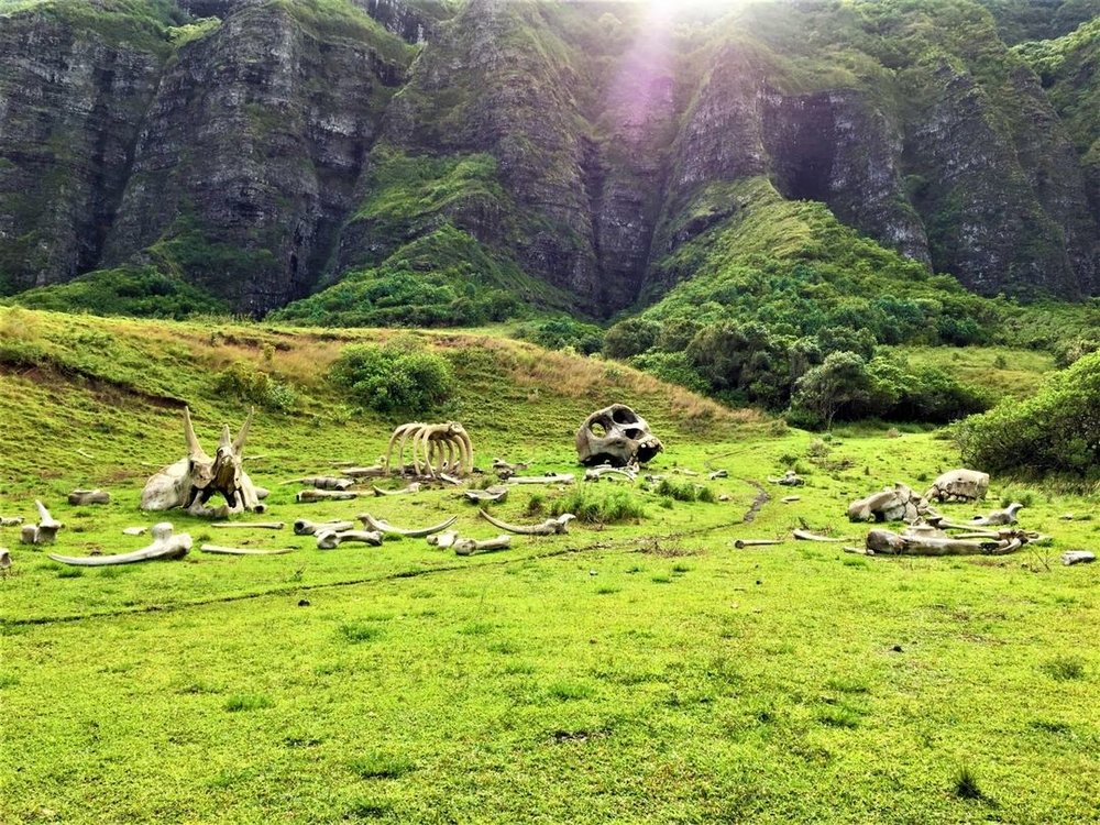 クアロアランチ ジュラシックパークロケ地
