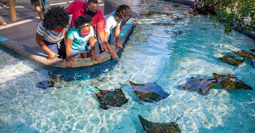 beverly-hills-los-angeles