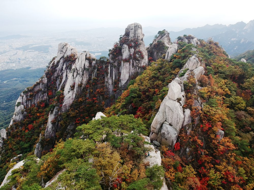 20 Best Places and Tours to See Autumn Leaves in Korea 2024: Official ...