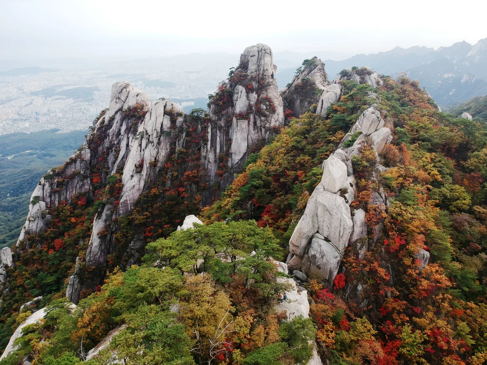 places to see autumn leaves in korea