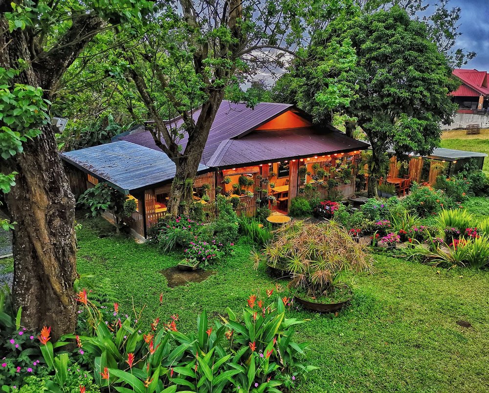 cafe surrounded by trees and green grass