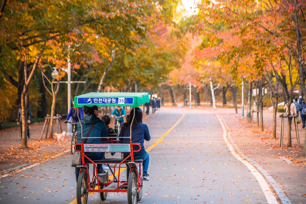 where to see autumn leaves in korea