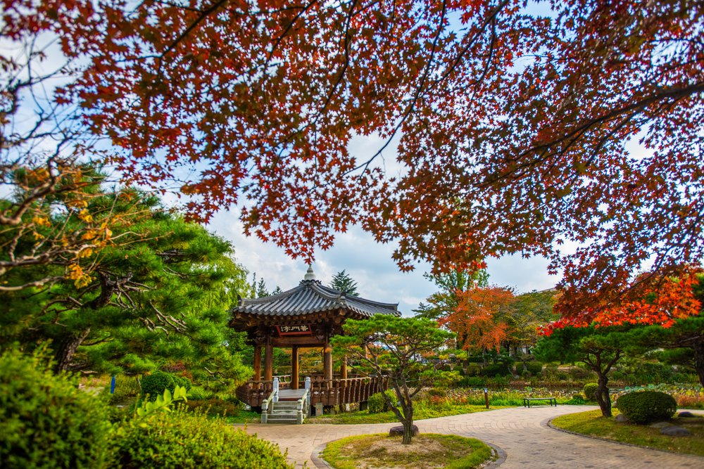 where to see autumn leaves in korea
