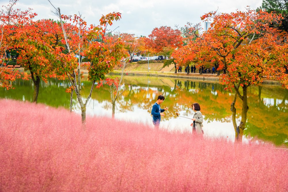 where to see autumn leaves in korea