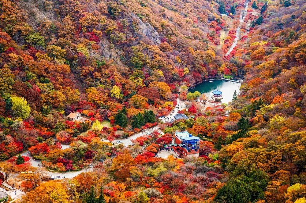 where to see autumn leaves in korea