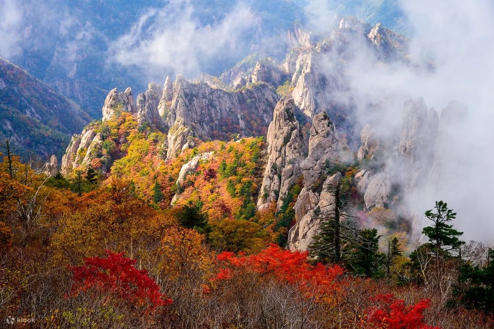 where to see autumn leaves in korea