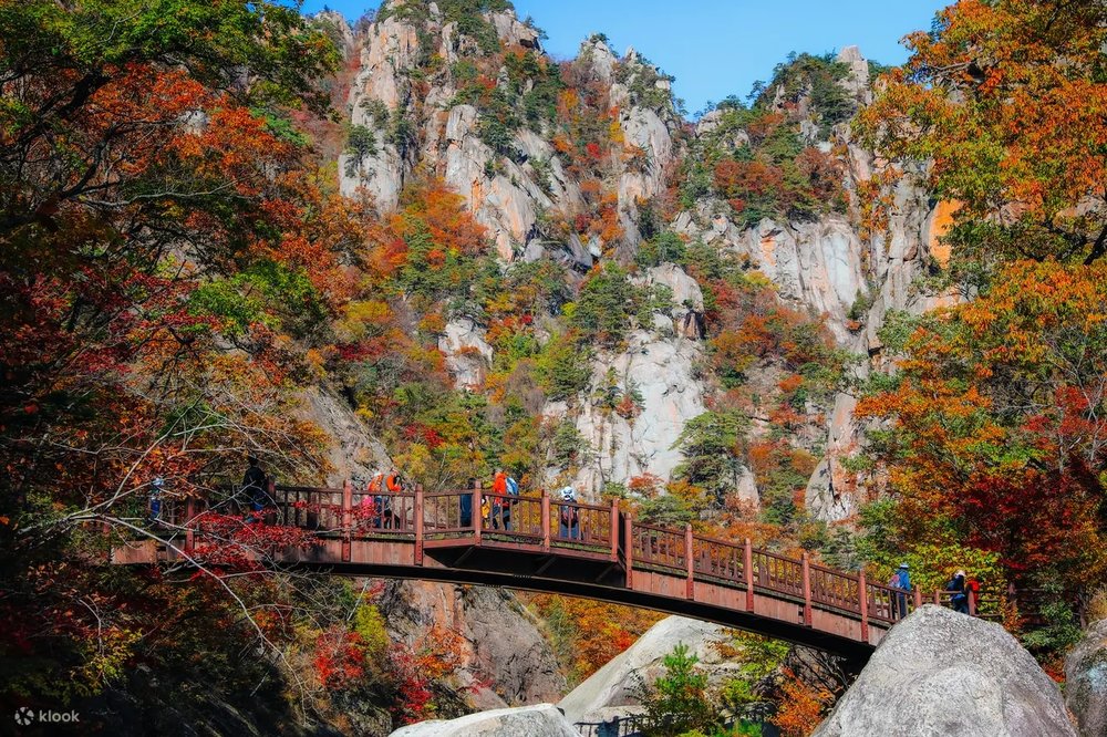 where to see autumn leaves in korea