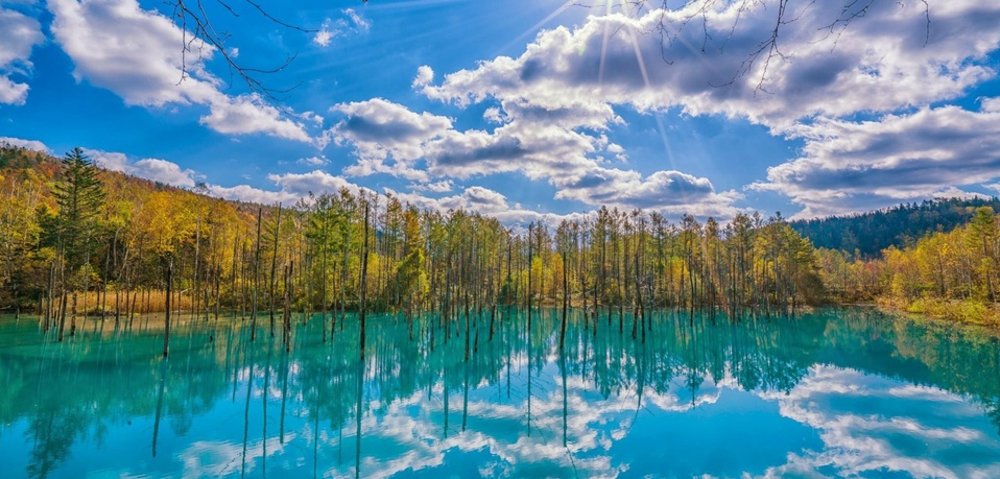 北海道區域介紹