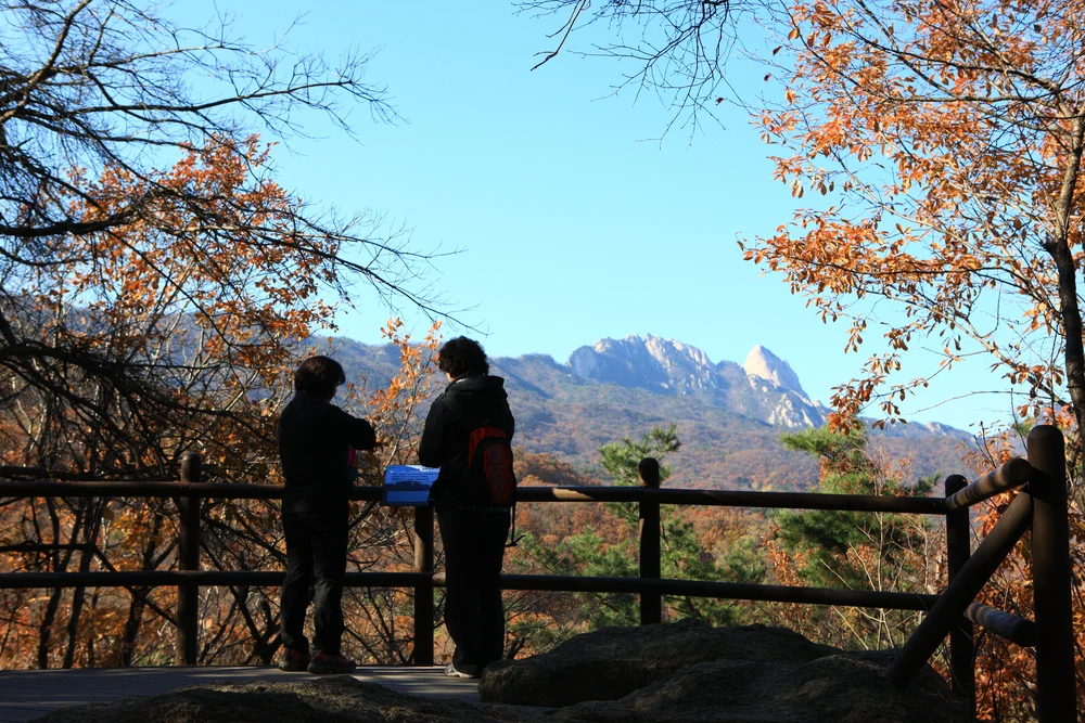 where to see autumn leaves in korea