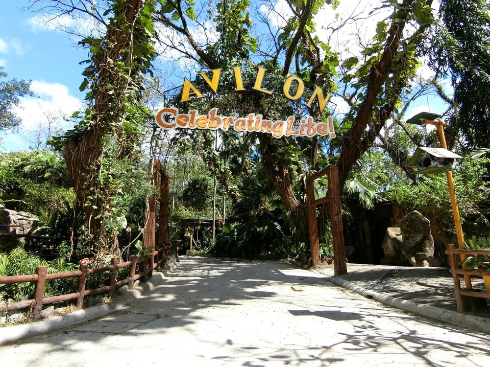 Avilon Zoo Facade