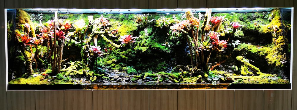 Vivarium with lights