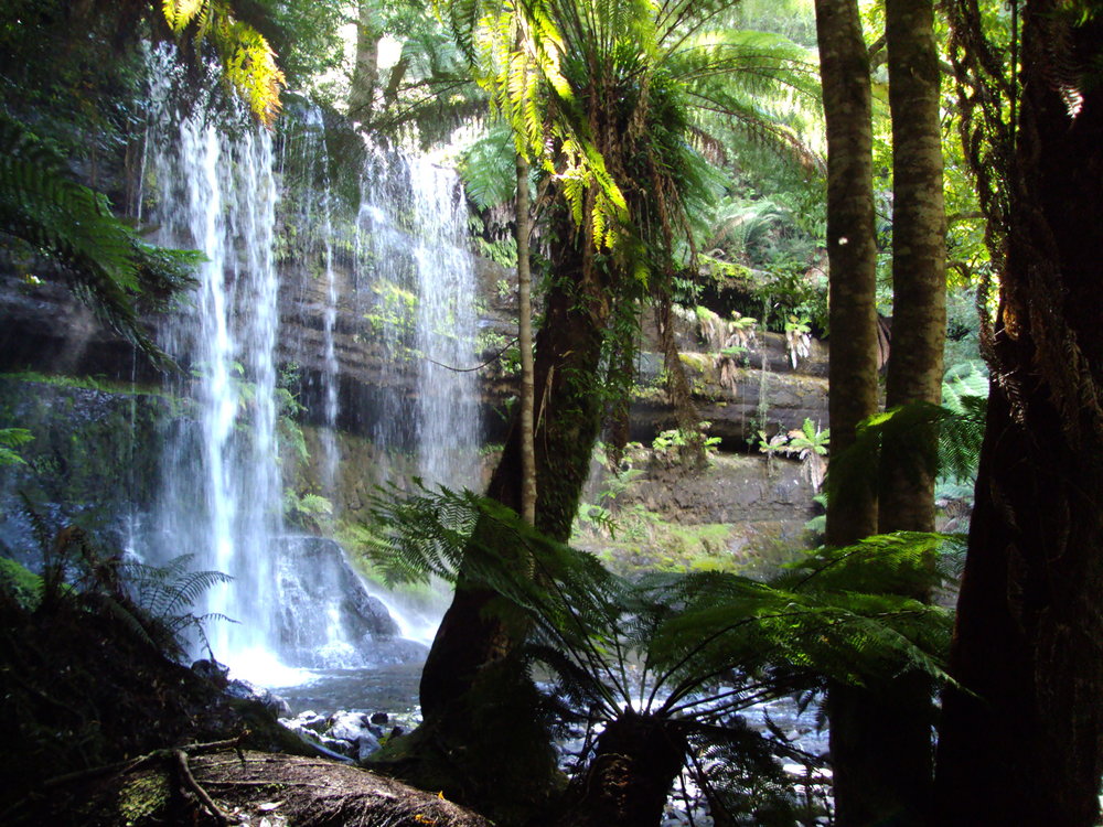 Waterfalls in Mount Field National Park