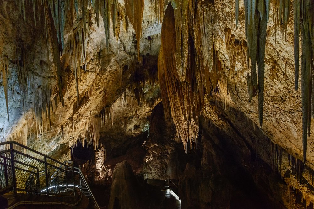 Entrance to the Hastings Cave