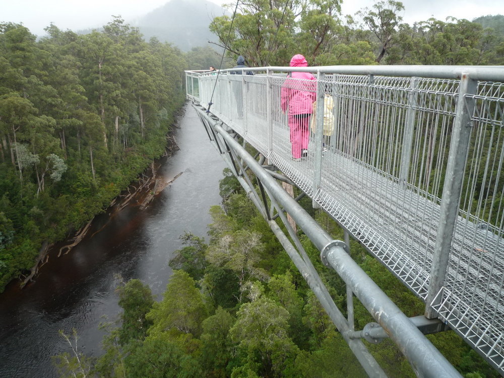 Person walking along the Tahune Airwalk