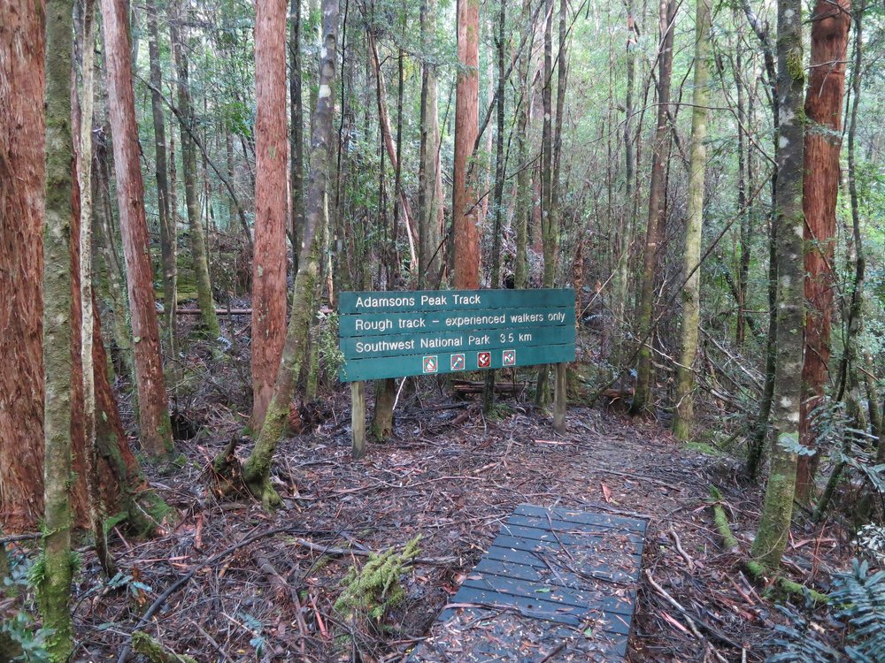 A trail on the hike up Adamsons Peak