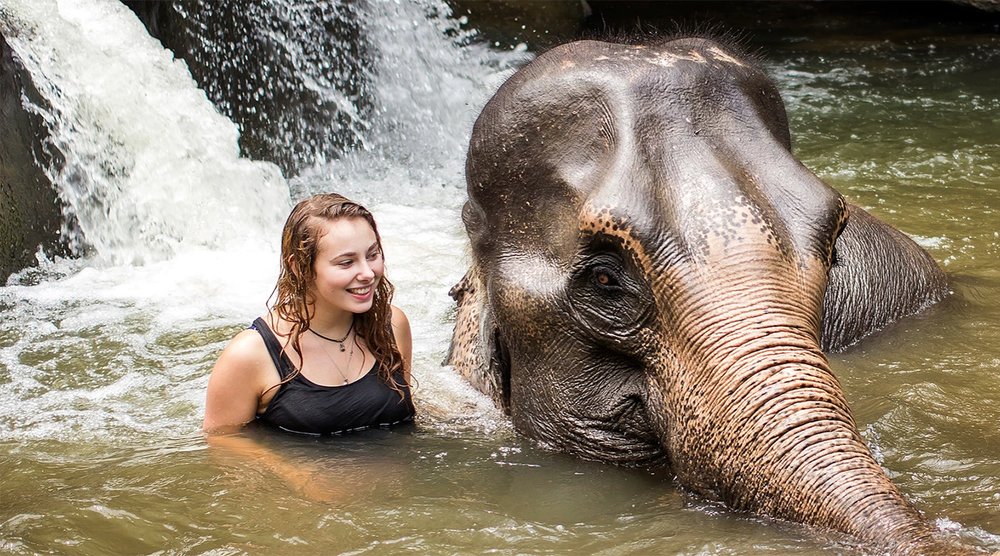 Elephant Jungle Sanctuary Phuket best thing to do in Phuket Thailand itinerary