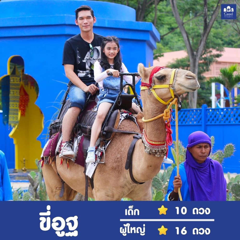 หลุดเข้าไปในโลกแห่งโมร็อกโคที่ Camel Republic สวนสัตว์ และสวนสนุก