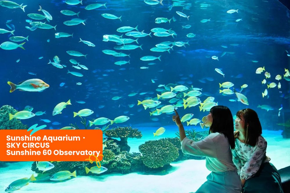 Two ladies looking at fishes in an aquarium in Sunshine Aquarium