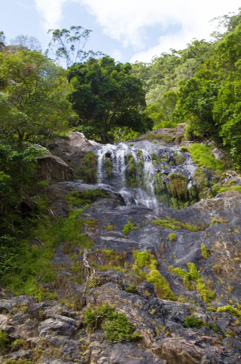 Waterfalls surrounded by forests