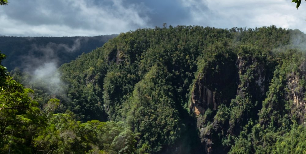 Waterfalls in a forest