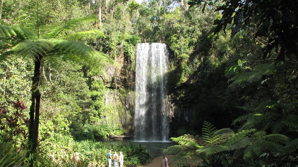 Tourists standing close to Malanda Falls