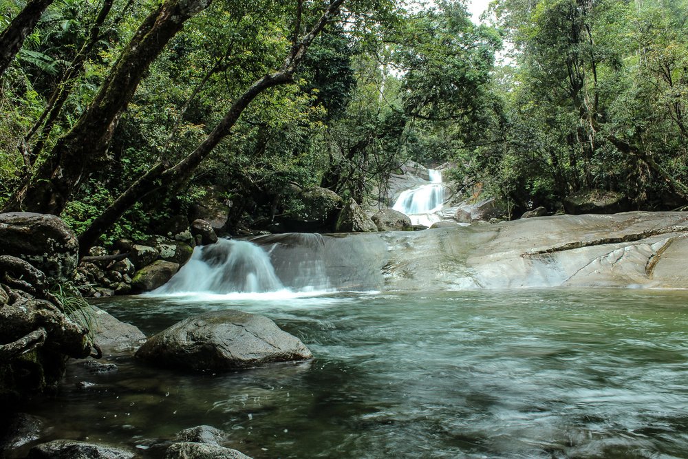Waterfalls in a forest
