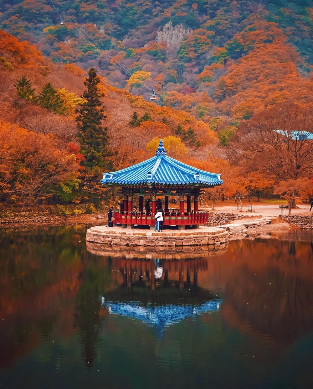 naejangsan national park busan autumn spot 2022