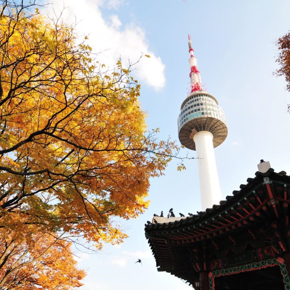namsan tower n seoul tower autumn spot 2022