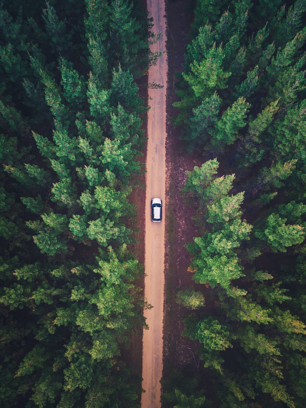 Top view of car on a road 