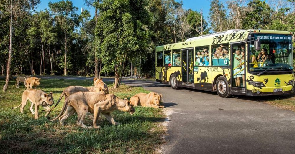 di-phu-quoc-tu-ha-noi-tu-tuc